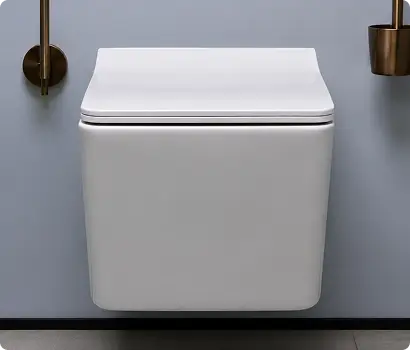 Western Toilet