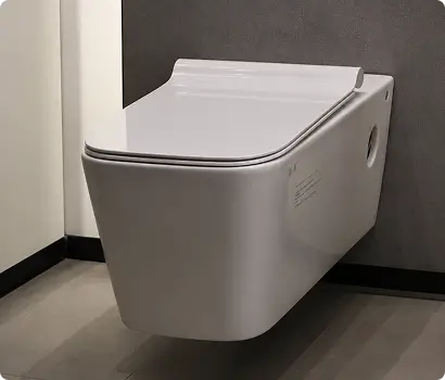 Western Toilets