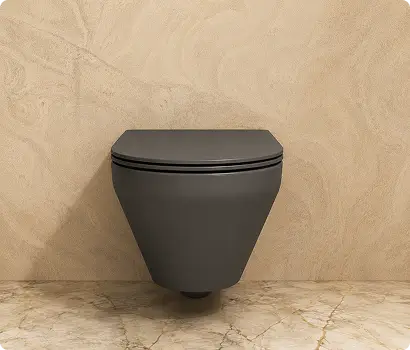 Western Toilets
