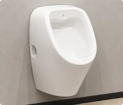 Western Toilets
