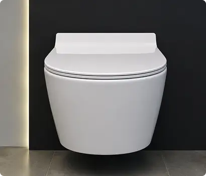 Western Toilets